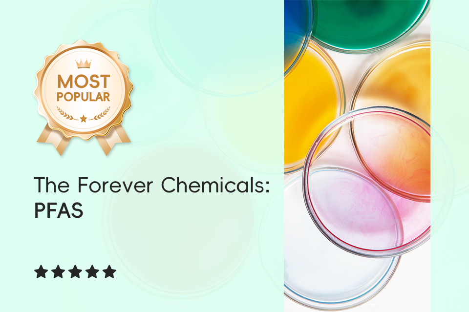 The Forever Chemicals: PFAS
